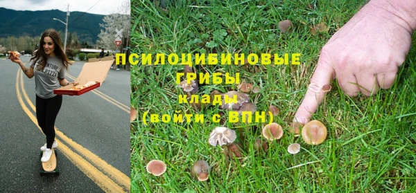 дурь Надым