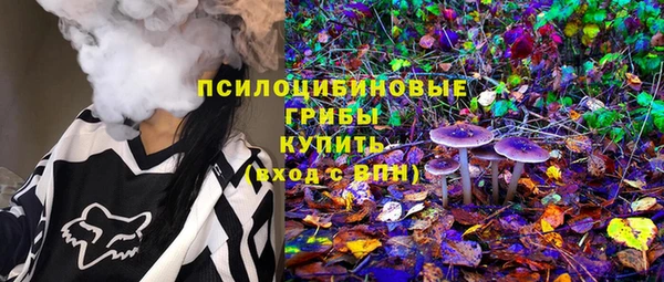 дурь Надым