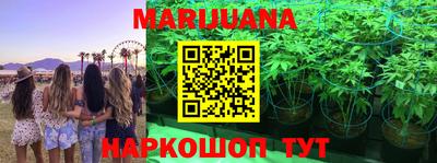 MDMA Premium VHQ Камышлов