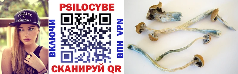 Псилоцибиновые грибы прущие грибы  хочу наркоту  Янаул 