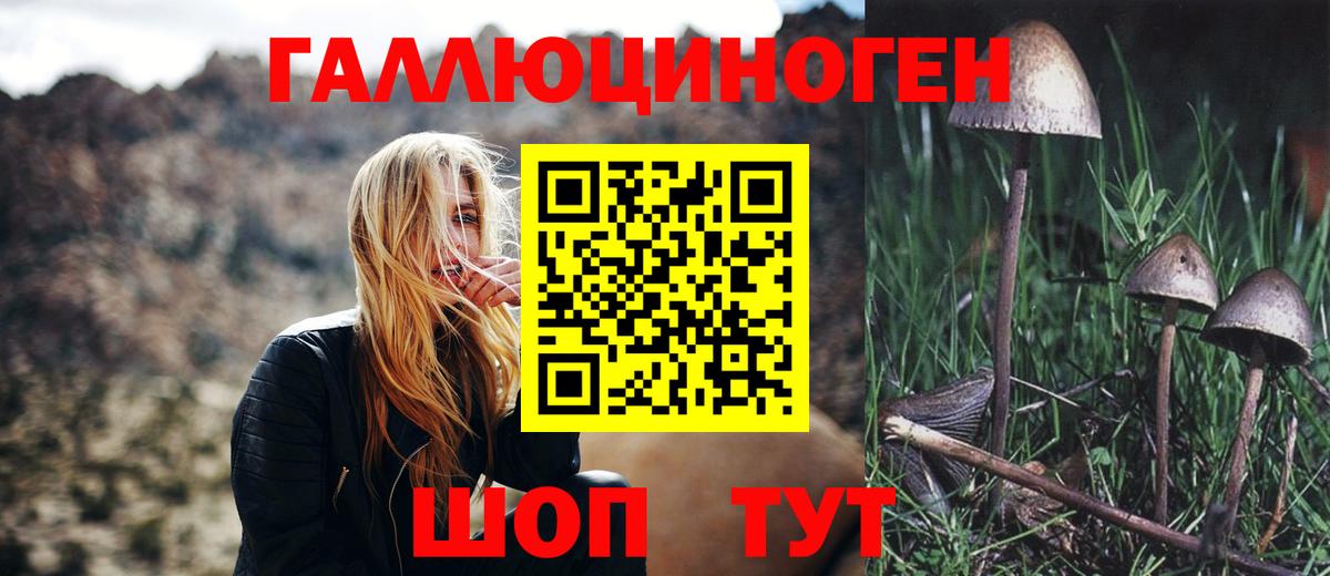 наркошоп  Псилоцибиновые грибы Psilocybe  Галлюциногенные грибы мицелий  Вход с VPN  Янаул 